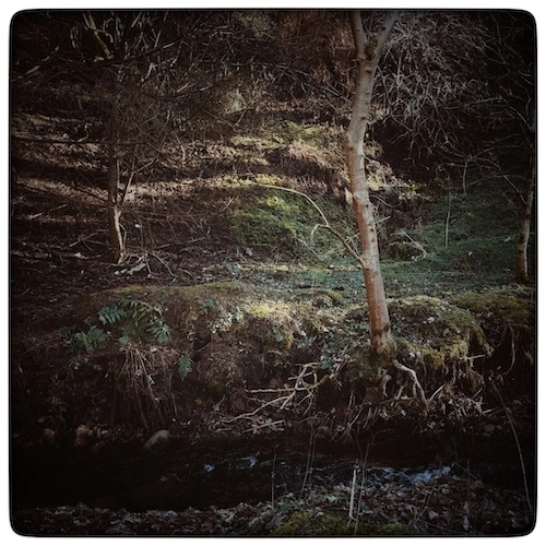A different glen