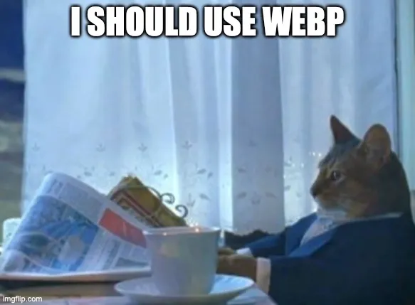 I should use webp