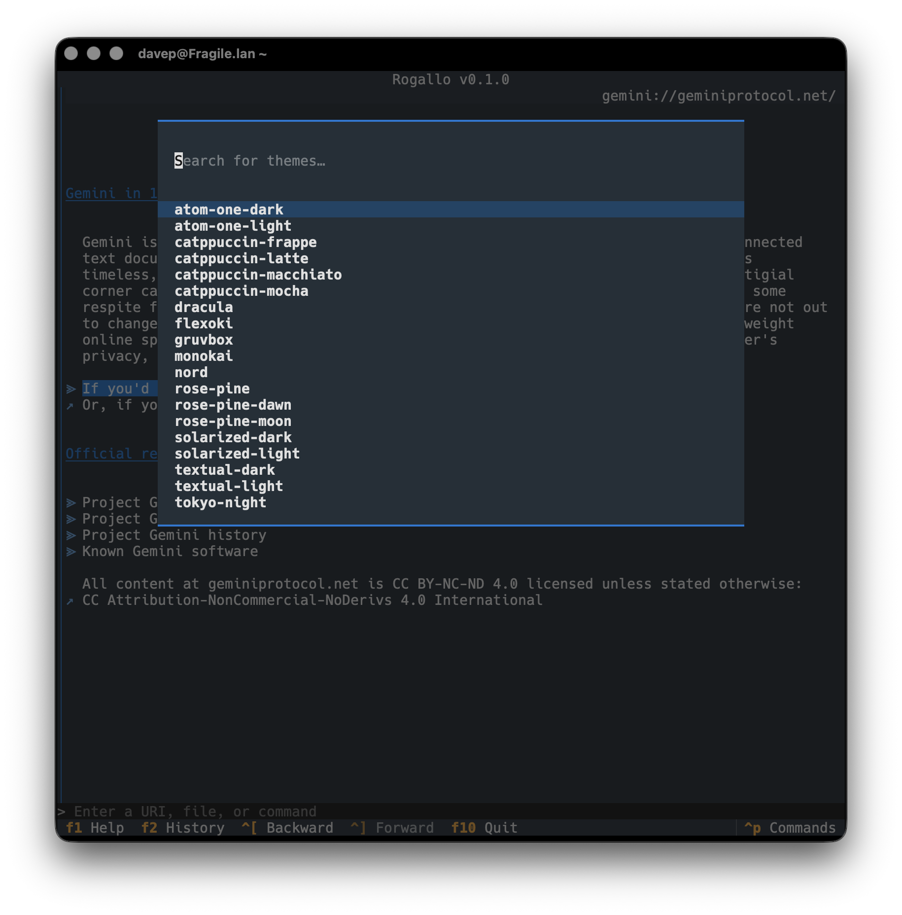 The theme options