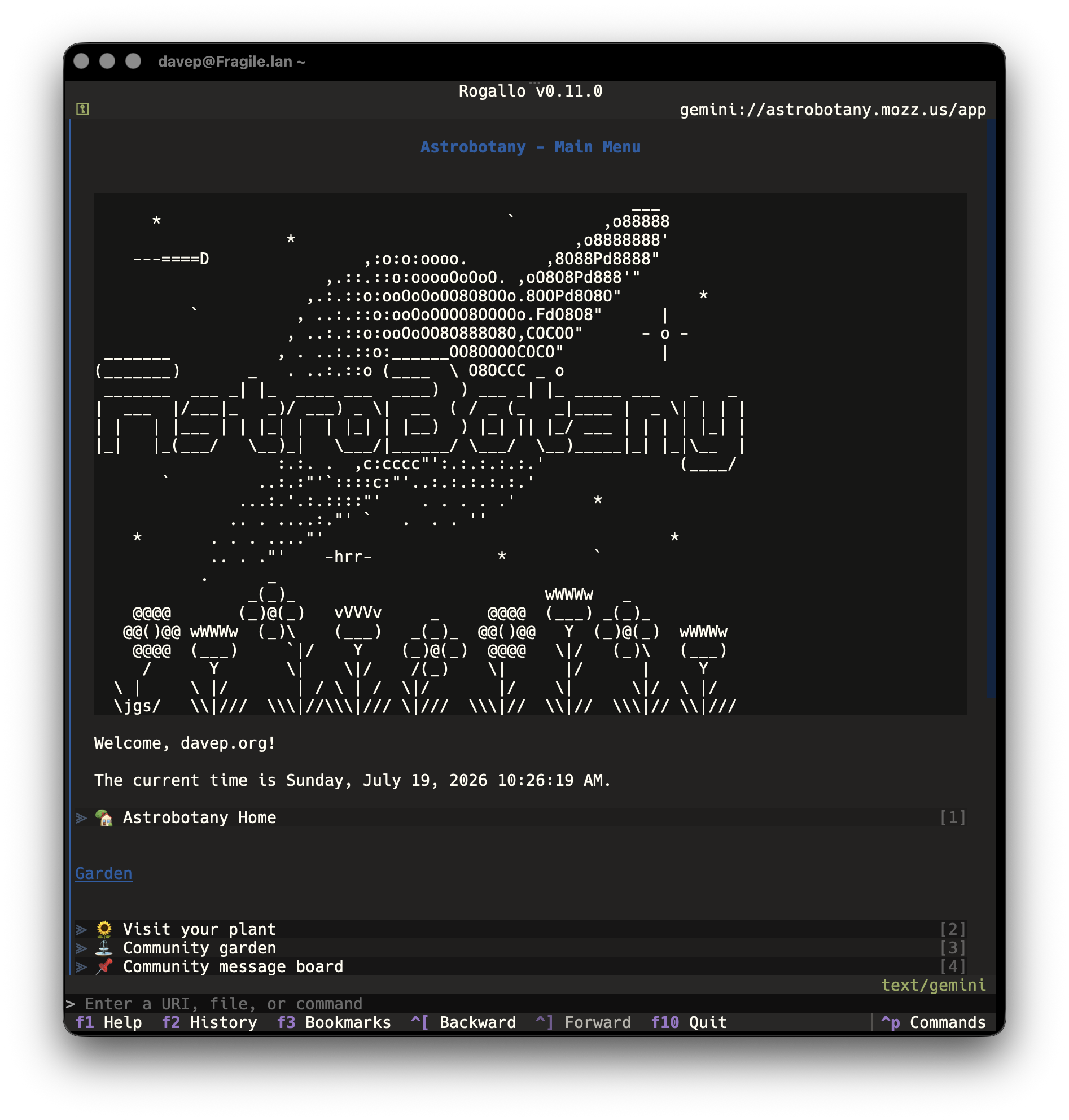 ANSI colour off