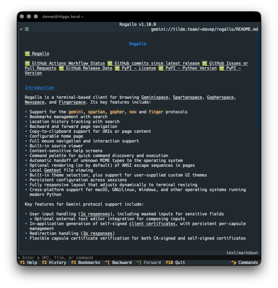 Markdown rendered in a full Markdown widget