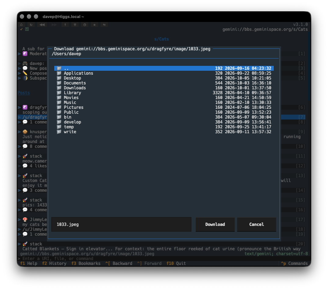 The download dialog
